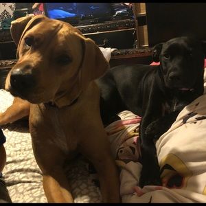 Meet your Posher, Cari